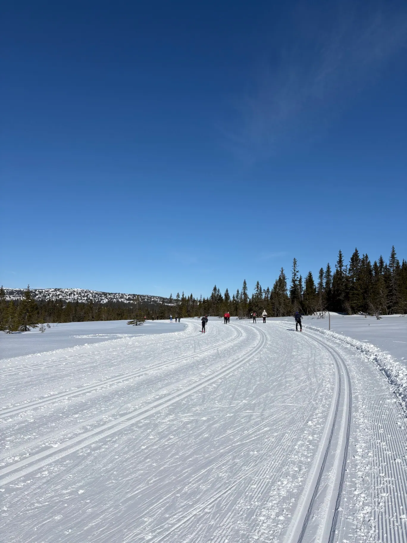 Preparerte skiløyper på Sjusjøen